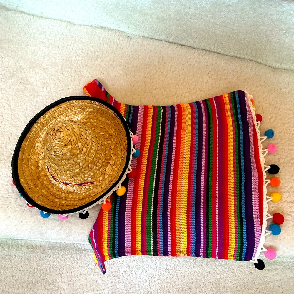 ADORABLE MEXICAN SOMBRERO DOG COSTUME OUTFIT WITH HAT AND STRIPED COAT